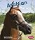 Arabian Horses (Pebble Books; Horses)