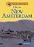 Life in New Amsterdam (Picture the Past)