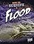 How to Survive a Flood (Edge Books: Prepare to Survive)