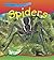 Spiders (Creepy Creatures)