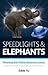 Speedlights & Elephants: Winning the Online Business Game