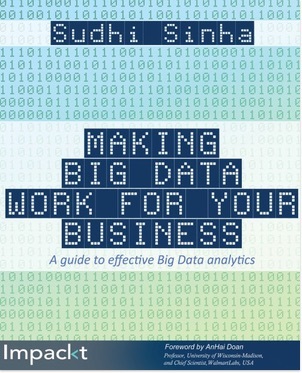 Making Big Data Work for Your Business (Paperback)