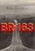 BR 163
