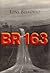 BR 163 by Tony Bellotto