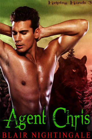 Agent Chris (Helping Hands, #3)