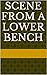 Scene from a Lower Bench by Penny Ryding