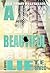 A Beautiful Lie