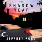 The Shadow Year