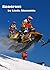 Snocross: A Winter Sports Racing Novel