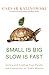 Small Is Big, Slow Is Fast: Living and Leading Your Family and Community on God's Mission