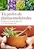 Tu jardín de plantas medicinales: Cómo cultivarlas y utilizarlas (Manos Maravillosas) (Spanish Edition)