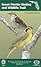 The Great Florida Birding a...