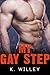 My Gay Step
