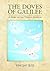 The Doves of Galilee by Vincent Iezzi