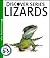 Lizards (Discover Series)