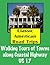 Classic American Road Trips: Walking Tours of Towns along the Coastal Highway US 17 (Look Up, America! Series)