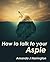 How to Talk to Your Aspie (...