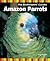 AMAZON PARROTS