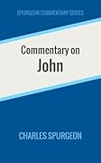 Commentary on John