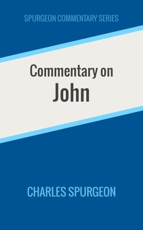 Commentary on John