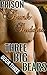 Three Big Bears (Prison Bunk Buddies #3)
