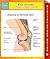 Knee Anatomy Speedy Study Guides