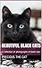 Beautiful Black Cats: A collection of photographs of black cats