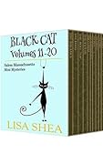 Black Cat Volumes 11-20