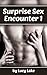 Surprise Sex Encounter: Erotic Romance with Mysterious Stranger, Sex Affair, Erotic Book, Sex Scenes,Erotic novel for women, Erotic Stories,Sexual Pleasure, ... Romance, Secret Sex (Sex Adventures Book 1)