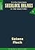 SHERLOCK HOLMES 1: Satans Fluch (Sherlock Holmes - die neuen Fälle) (German Edition)