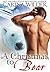A Christmas to Bear (Wolf Rock Shifters, #5)