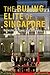Ruling Elite of Singapore, The: Networks of Power and Influence