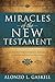 Miracles of New Testament: A Guide to the Symbolic Messages (Miracles of the Standard Works by Alonso Gaskill)