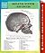 Skeletal System Advanced Speedy Study Guides