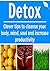 Detox: Clever Tips to Cleanse your Body, Mind, Soul and Increase Productivity: (Learn How to Cleanse your Body NOW, Detox Cleanse, 10 Day Detox Diet Plan)