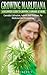 Growing Marijuana - A Beginners Guide To Growing Cannabis At Home: Cannabis Cultivation, Indoors And Outdoors, For Medicinal And Personal Use