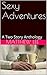 Sexy Adventures: A Two Story Anthology (Wandering Wives)