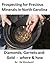 Prospecting for Precious Minerals in North Carolina: Diamonds, Garnets and Gold – where and how