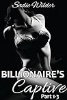 Billionaire's Captive, Part 1-3 (Rough BDSM, Dark Erotica)