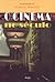 O Cinema no Século