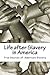 Life after Slavery in Ameri...