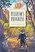 The Pilgrim's Progress