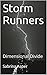 Storm Runners: Dimensional Divide