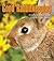 Good Rabbitkeeping (Good Petkeeping)