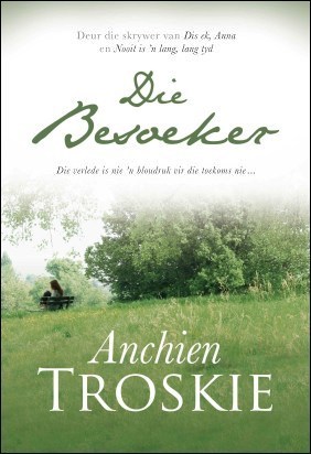 Die besoeker (ebook)