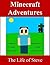 Minecraft Adventures: The Life of Steve