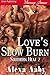 Love's Slow Burn (Southern Heat #2)