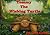Tommy The Wishing Turtle