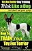 Toy Fox Terrier Training | Think Like a Dog, But Don’t Eat Your Poop! |: Here's EXACTLY How To Train Your Toy Fox Terrier