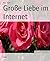 Große Liebe im Internet (German Edition)